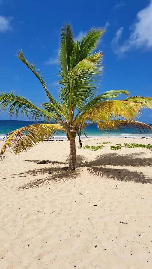 Studio Plage De L'Anse Caritan Sainte-Anne Apartment