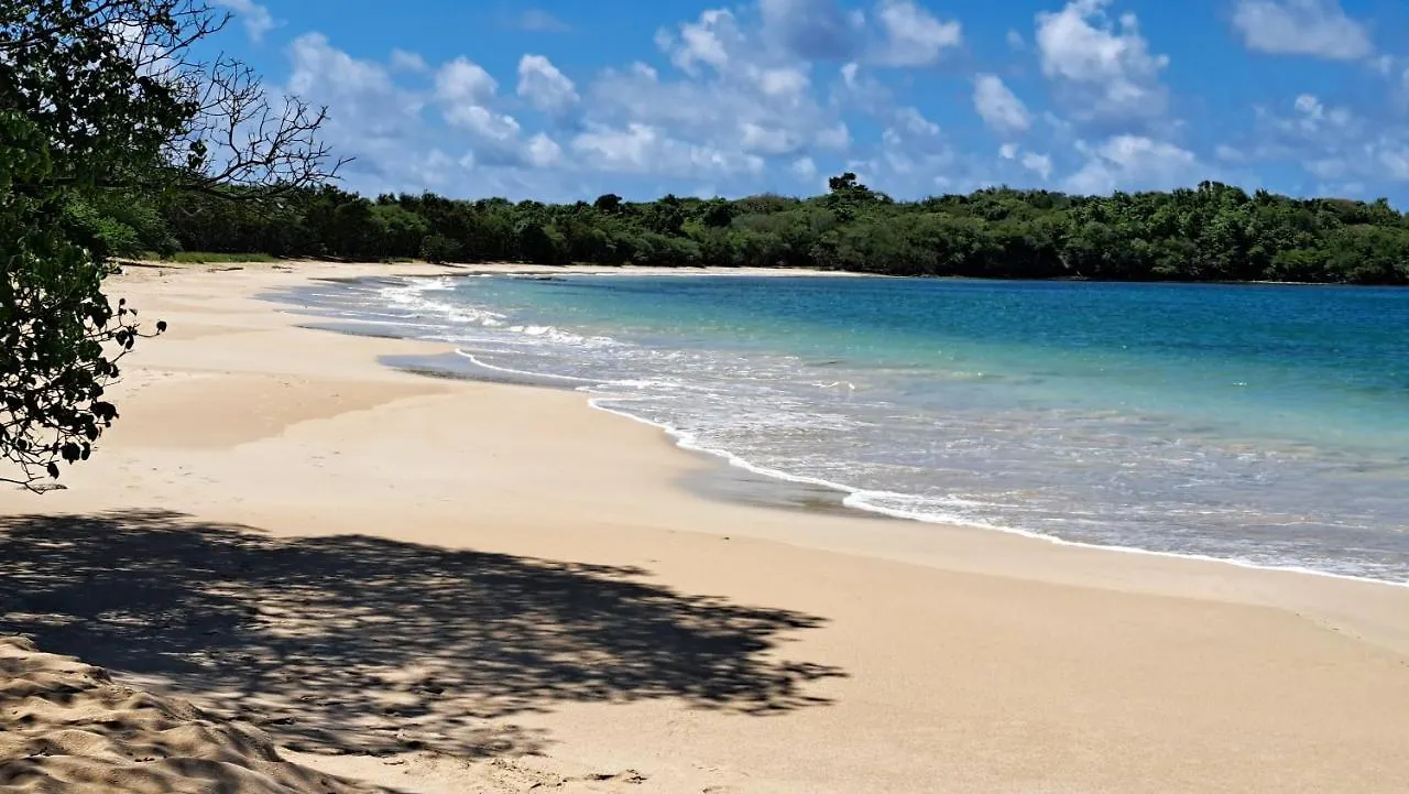 Studio Plage De L'Anse Caritan Sainte-Anne 0*,  Martinique