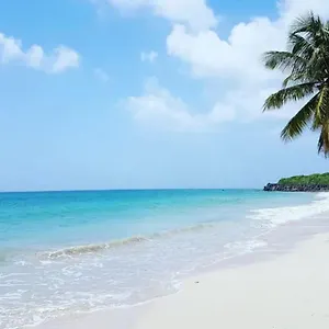 Appartement - Les Pieds Dans L'eau A 50m De La Plage, Cote Caraibe - Domaine De L'anse Caritan - -, Sainte-Anne